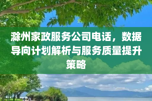 滁州家政服务公司电话，数据导向计划解析与服务质量提升策略