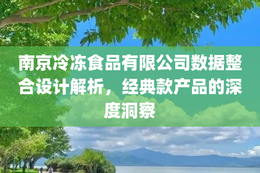 南京冷冻食品有限公司数据整合设计解析，经典款产品的深度洞察