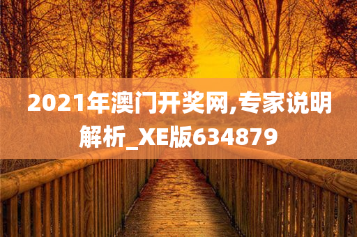 2021年澳门开奖网,专家说明解析_XE版634879