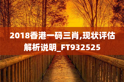 2018香港一码三肖,现状评估解析说明_FT932525