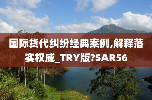 国际货代纠纷经典案例,解释落实权威_TRY版?SAR56