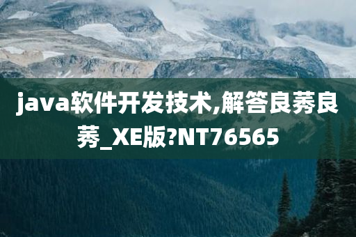 java软件开发技术,解答良莠良莠_XE版?NT76565