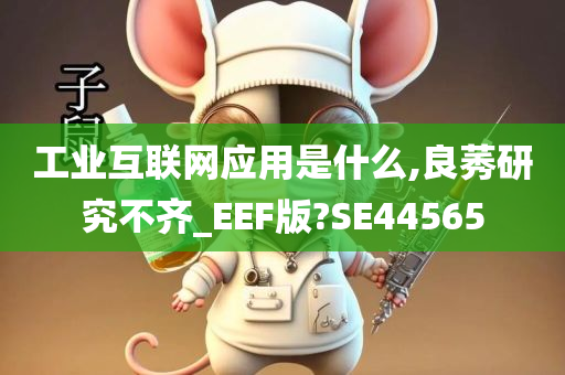 工业互联网应用是什么,良莠研究不齐_EEF版?SE44565