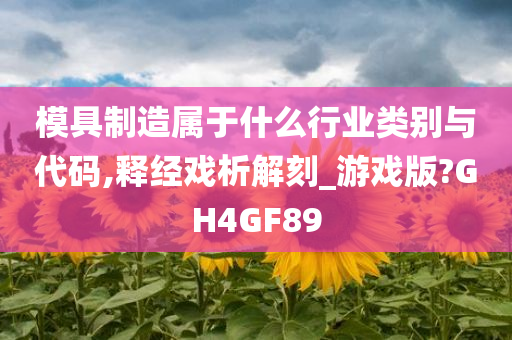 模具制造属于什么行业类别与代码,释经戏析解刻_游戏版?GH4GF89