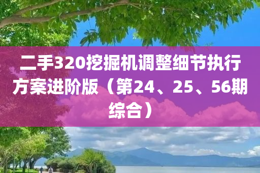 二手320挖掘机调整细节执行方案进阶版（第24、25、56期综合）