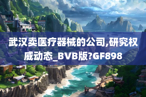 武汉卖医疗器械的公司,研究权威动态_BVB版?GF898