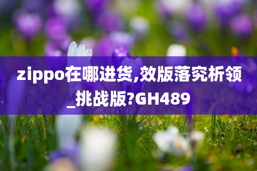 zippo在哪进货,效版落究析领_挑战版?GH489