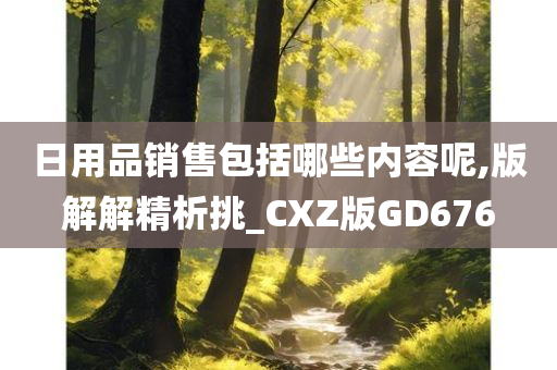 日用品销售包括哪些内容呢,版解解精析挑_CXZ版GD676