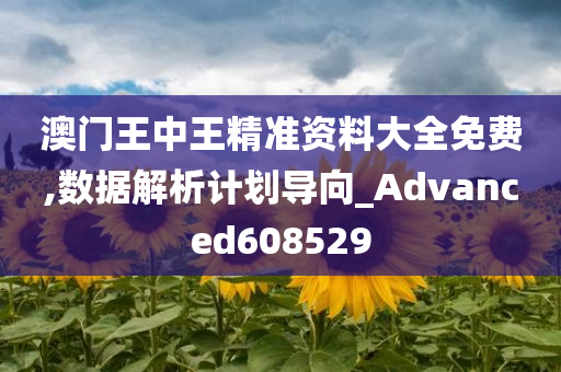 澳门王中王精准资料大全免费,数据解析计划导向_Advanced608529