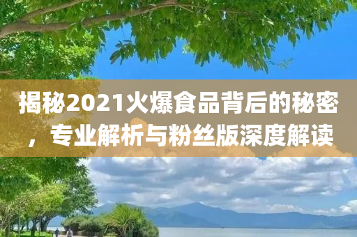 揭秘2021火爆食品背后的秘密，专业解析与粉丝版深度解读