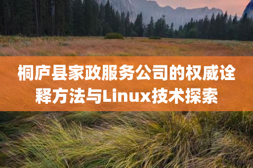 桐庐县家政服务公司的权威诠释方法与Linux技术探索