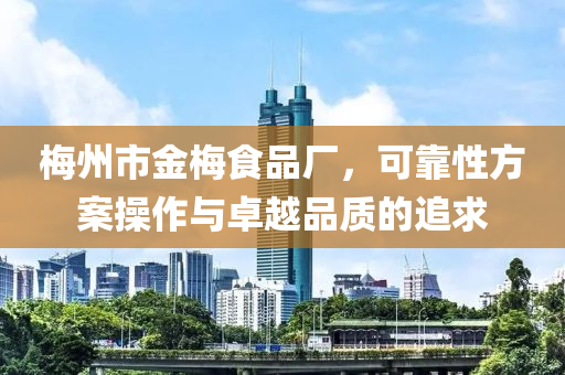 梅州市金梅食品厂，可靠性方案操作与卓越品质的追求