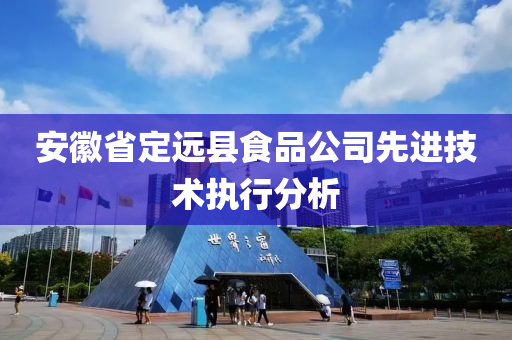 安徽省定远县食品公司先进技术执行分析