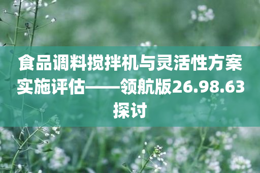 食品调料搅拌机与灵活性方案实施评估——领航版26.98.63探讨