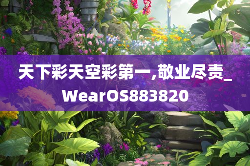 天下彩天空彩第一,敬业尽责_WearOS883820