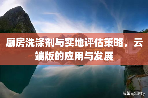 厨房洗涤剂与实地评估策略，云端版的应用与发展