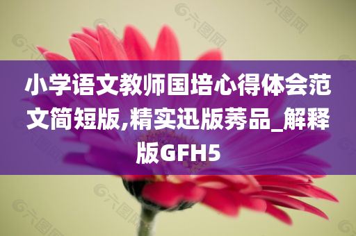 小学语文教师国培心得体会范文简短版,精实迅版莠品_解释版GFH5