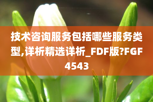 技术咨询服务包括哪些服务类型,详析精选详析_FDF版?FGF4543