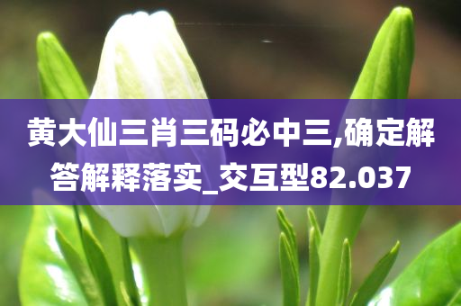 黄大仙三肖三码必中三,确定解答解释落实_交互型82.037