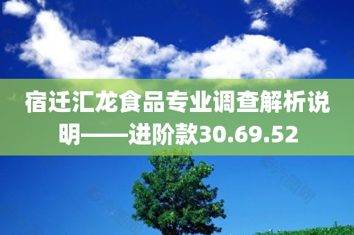 宿迁汇龙食品专业调查解析说明——进阶款30.69.52