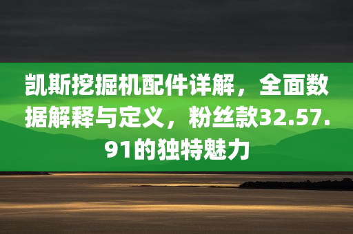 凯斯挖掘机配件详解，全面数据解释与定义，粉丝款32.57.91的独特魅力