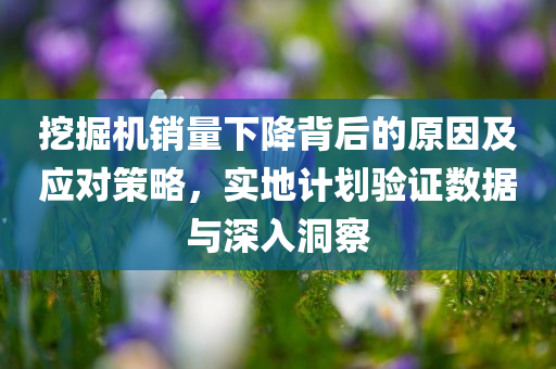 挖掘机销量下降背后的原因及应对策略，实地计划验证数据与深入洞察