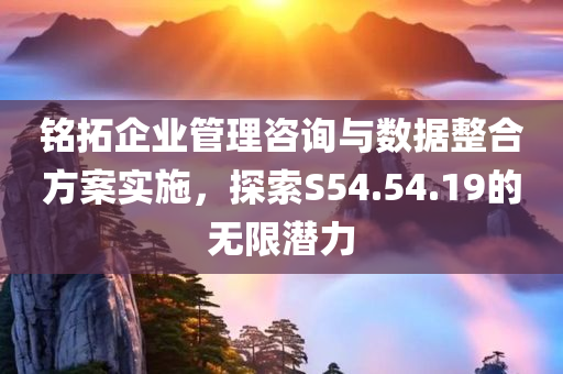 铭拓企业管理咨询与数据整合方案实施，探索S54.54.19的无限潜力