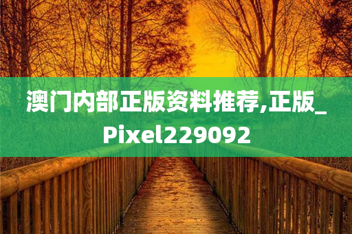 澳门内部正版资料推荐,正版_Pixel229092