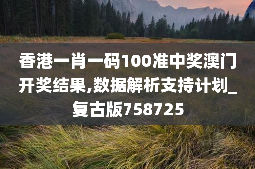 香港一肖一码100准中奖澳门开奖结果,数据解析支持计划_复古版758725