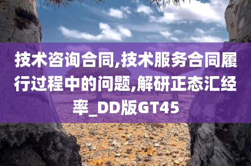 技术咨询合同,技术服务合同履行过程中的问题,解研正态汇经率_DD版GT45