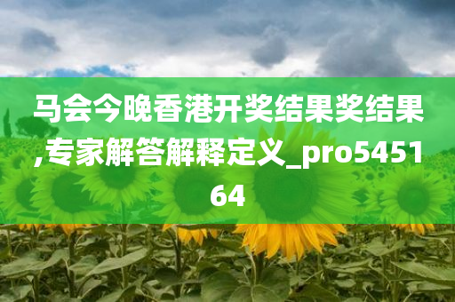 马会今晚香港开奖结果奖结果,专家解答解释定义_pro545164