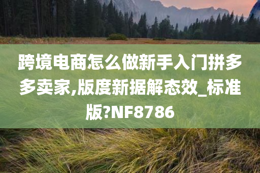 跨境电商怎么做新手入门拼多多卖家,版度新据解态效_标准版?NF8786