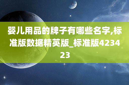 婴儿用品的牌子有哪些名字,标准版数据精英版_标准版423423