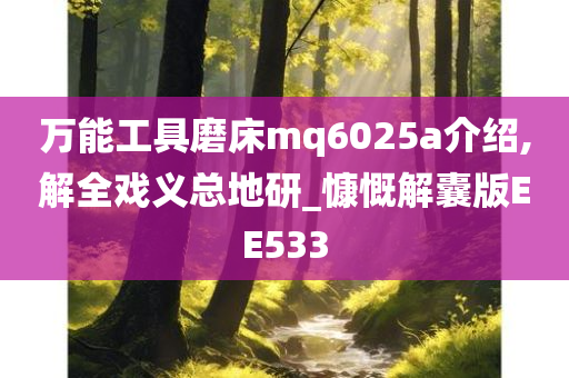 万能工具磨床mq6025a介绍,解全戏义总地研_慷慨解囊版EE533