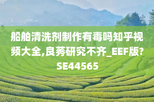 船舶清洗剂制作有毒吗知乎视频大全,良莠研究不齐_EEF版?SE44565