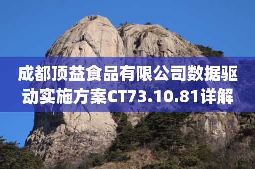 成都顶益食品有限公司数据驱动实施方案CT73.10.81详解