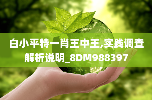 白小平特一肖王中王,实践调查解析说明_8DM988397