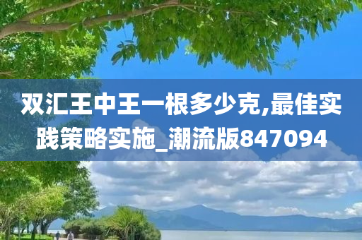 双汇王中王一根多少克,最佳实践策略实施_潮流版847094