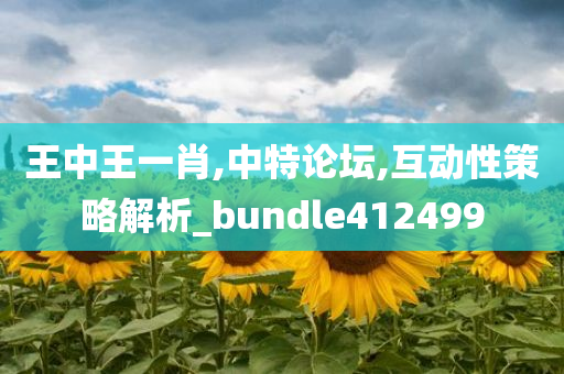 王中王一肖,中特论坛,互动性策略解析_bundle412499