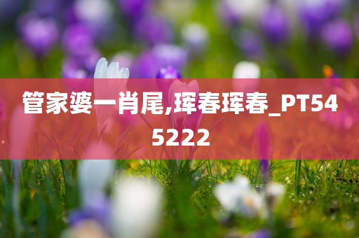 管家婆一肖尾,珲春珲春_PT545222