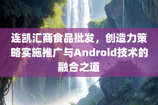 连凯汇商食品批发，创造力策略实施推广与Android技术的融合之道