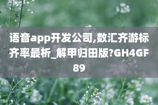 语音app开发公司,数汇齐游标齐率最析_解甲归田版?GH4GF89