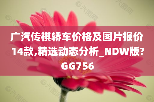 广汽传祺轿车价格及图片报价14款,精选动态分析_NDW版?GG756