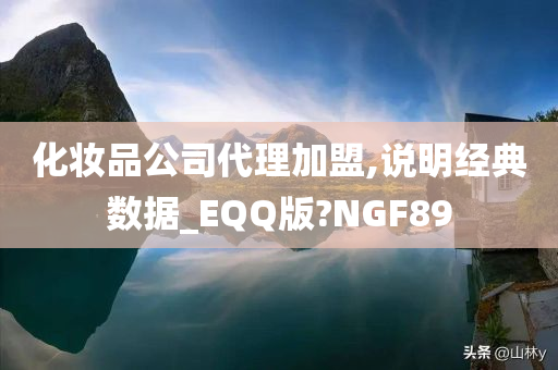 化妆品公司代理加盟,说明经典数据_EQQ版?NGF89