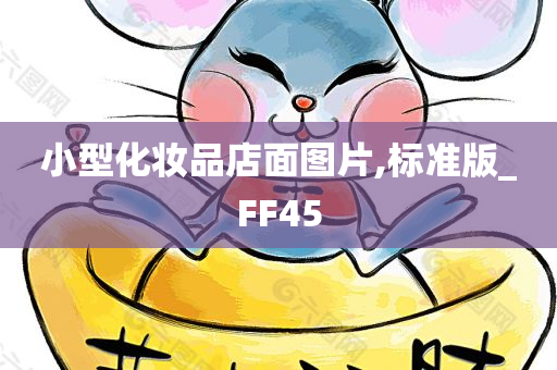 小型化妆品店面图片,标准版_FF45