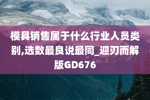 模具销售属于什么行业人员类别,选数最良说最同_迎刃而解版GD676