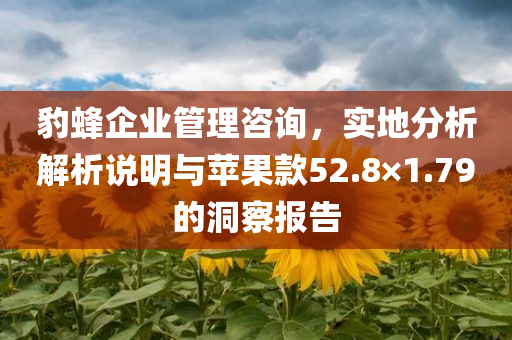 豹蜂企业管理咨询，实地分析解析说明与苹果款52.8×1.79的洞察报告