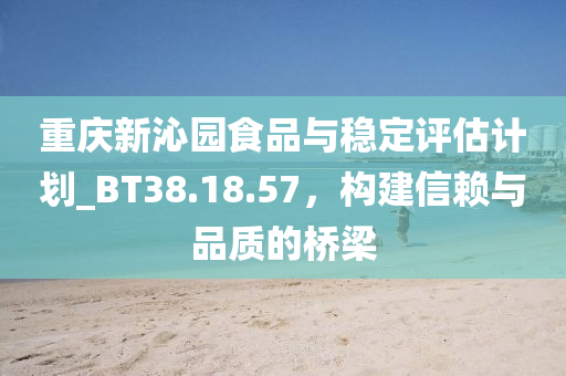 重庆新沁园食品与稳定评估计划_BT38.18.57，构建信赖与品质的桥梁