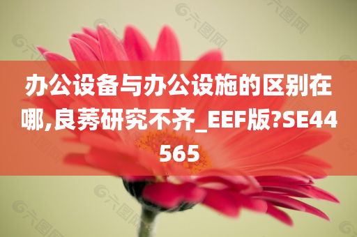 办公设备与办公设施的区别在哪,良莠研究不齐_EEF版?SE44565