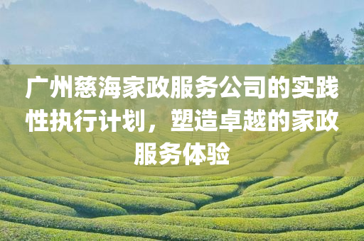 广州慈海家政服务公司的实践性执行计划，塑造卓越的家政服务体验